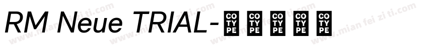 RM Neue TRIAL字体转换
